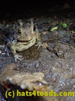 /home//u458753944/public_html/sourcegallery////////////////////////////////////////////////////////McKaig Nature Center/2020-09-27/P9270745.JPG